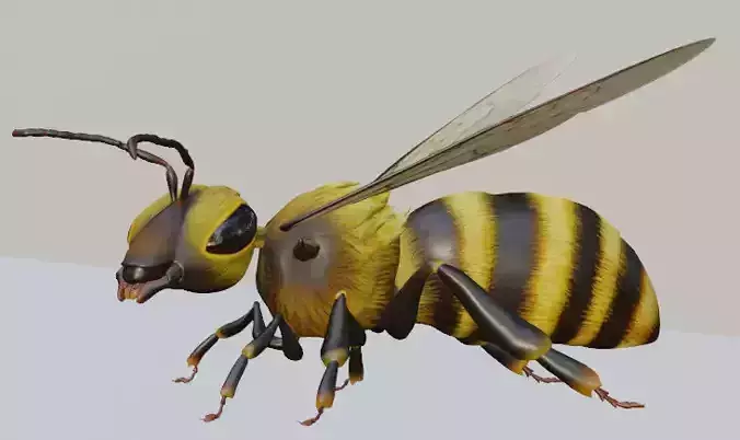 BEE ANIMAL