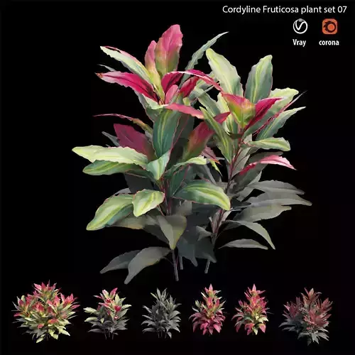 Cordyline fruticosa plant set 07 Low-poly 3D model
