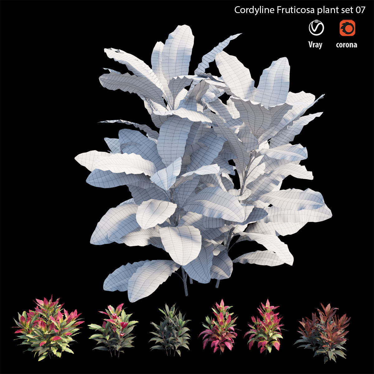 Cordyline fruticosa plant set 07 Low-poly 3D model_6