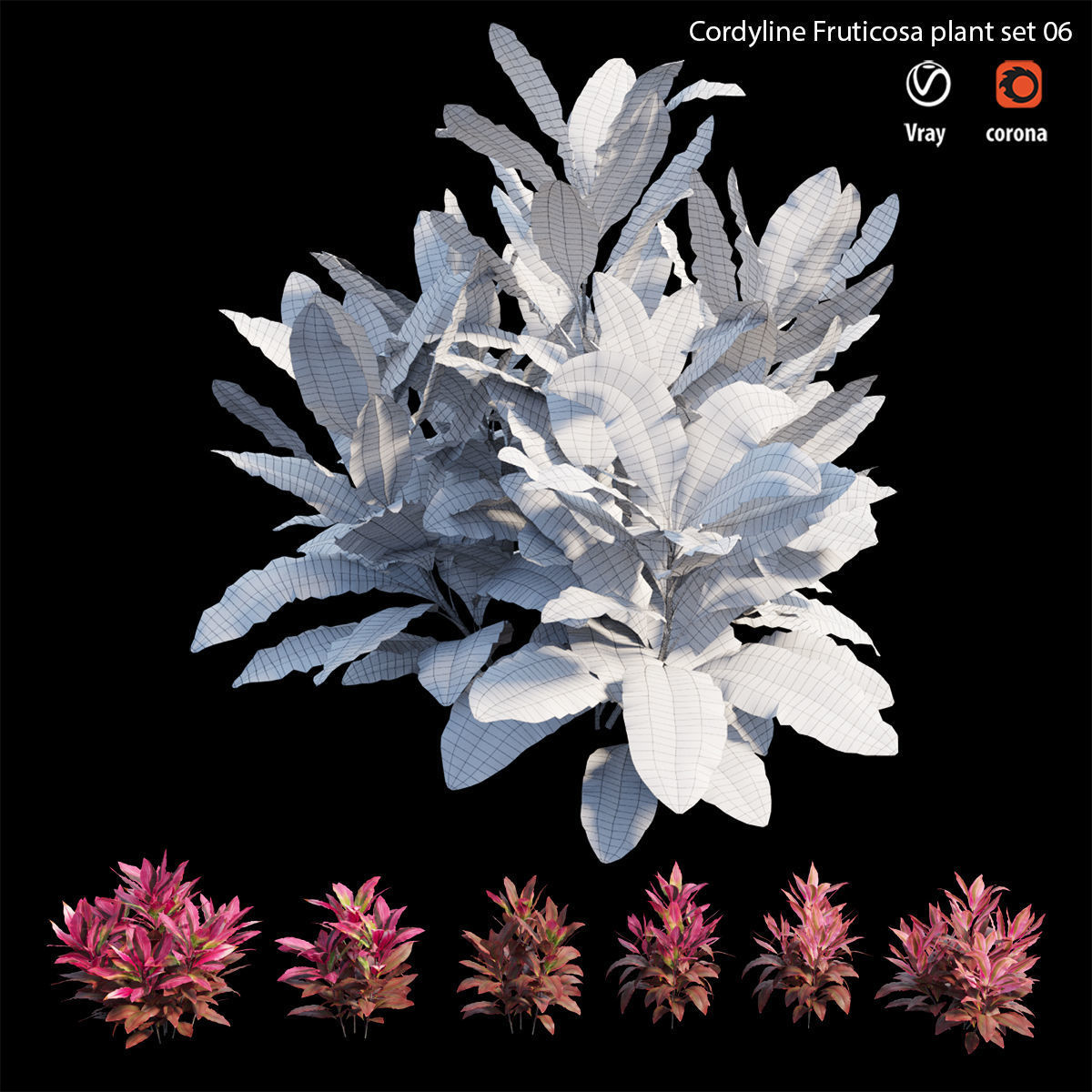 Cordyline fruticosa plant set 06 Low-poly 3D model_6