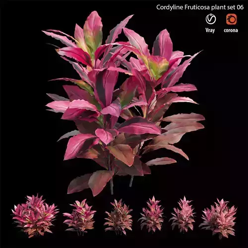 Cordyline fruticosa plant set 06 Low-poly 3D model
