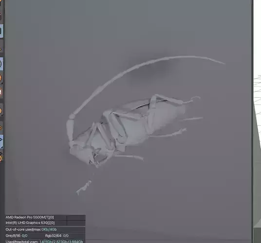 Anoplophora malasiaca