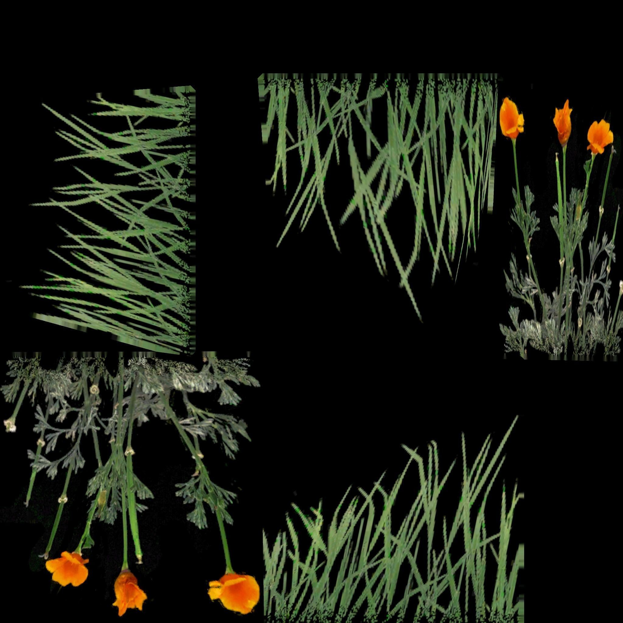 GrassNpack Low-poly 3D model grass Low-poly 3D model_7