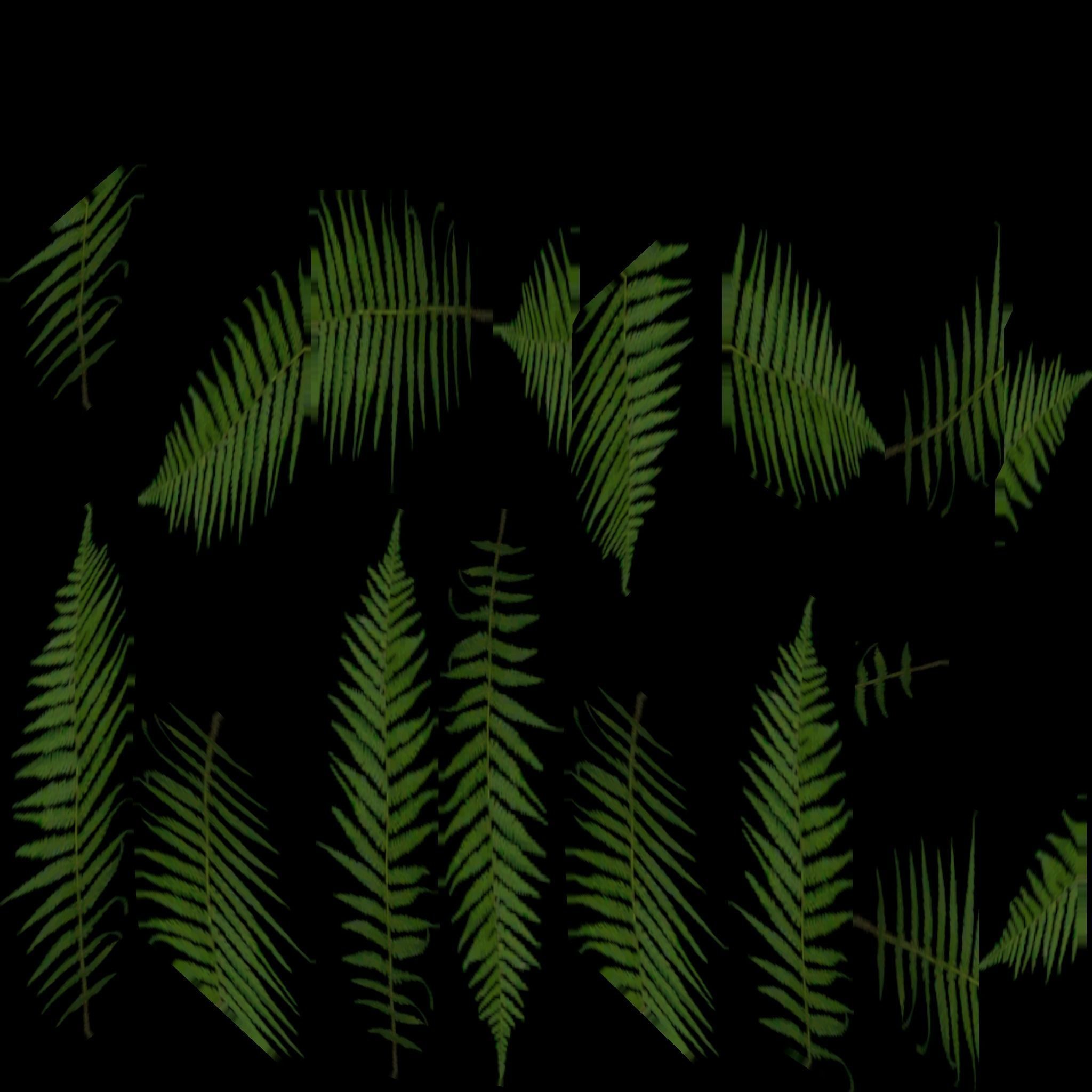 GrassNpack Low-poly 3D model grass Low-poly 3D model_9