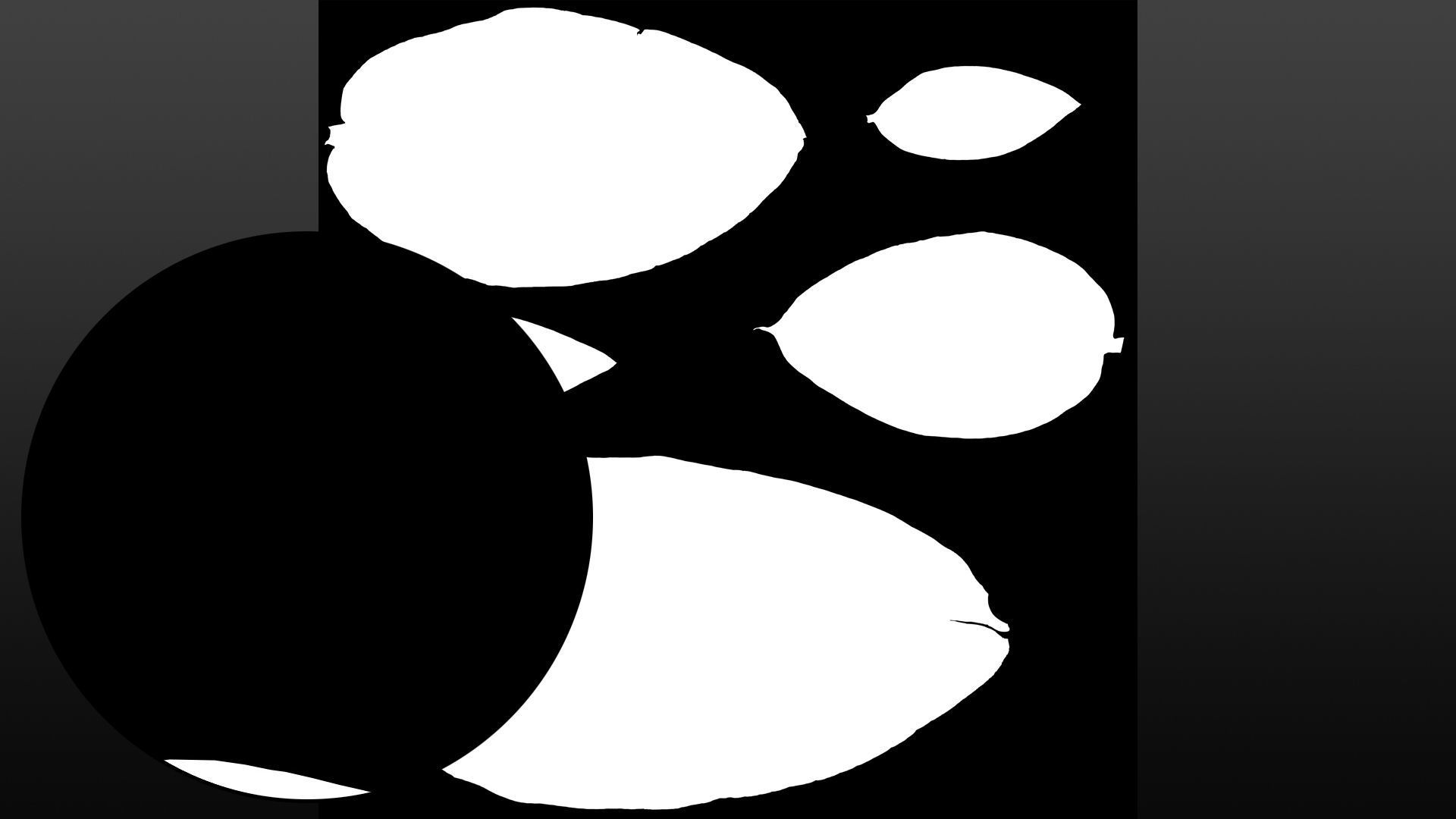 Banana leaf texture Texture_13