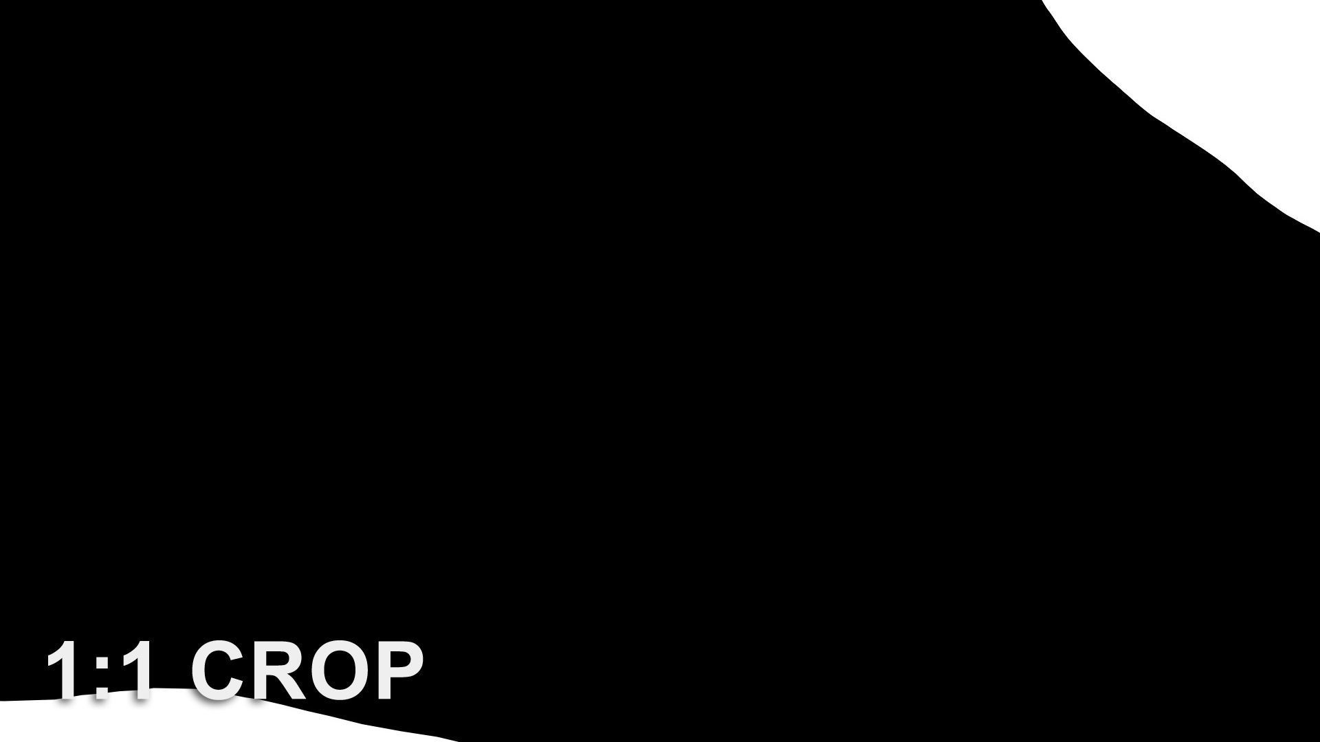 Banana leaf texture Texture_31