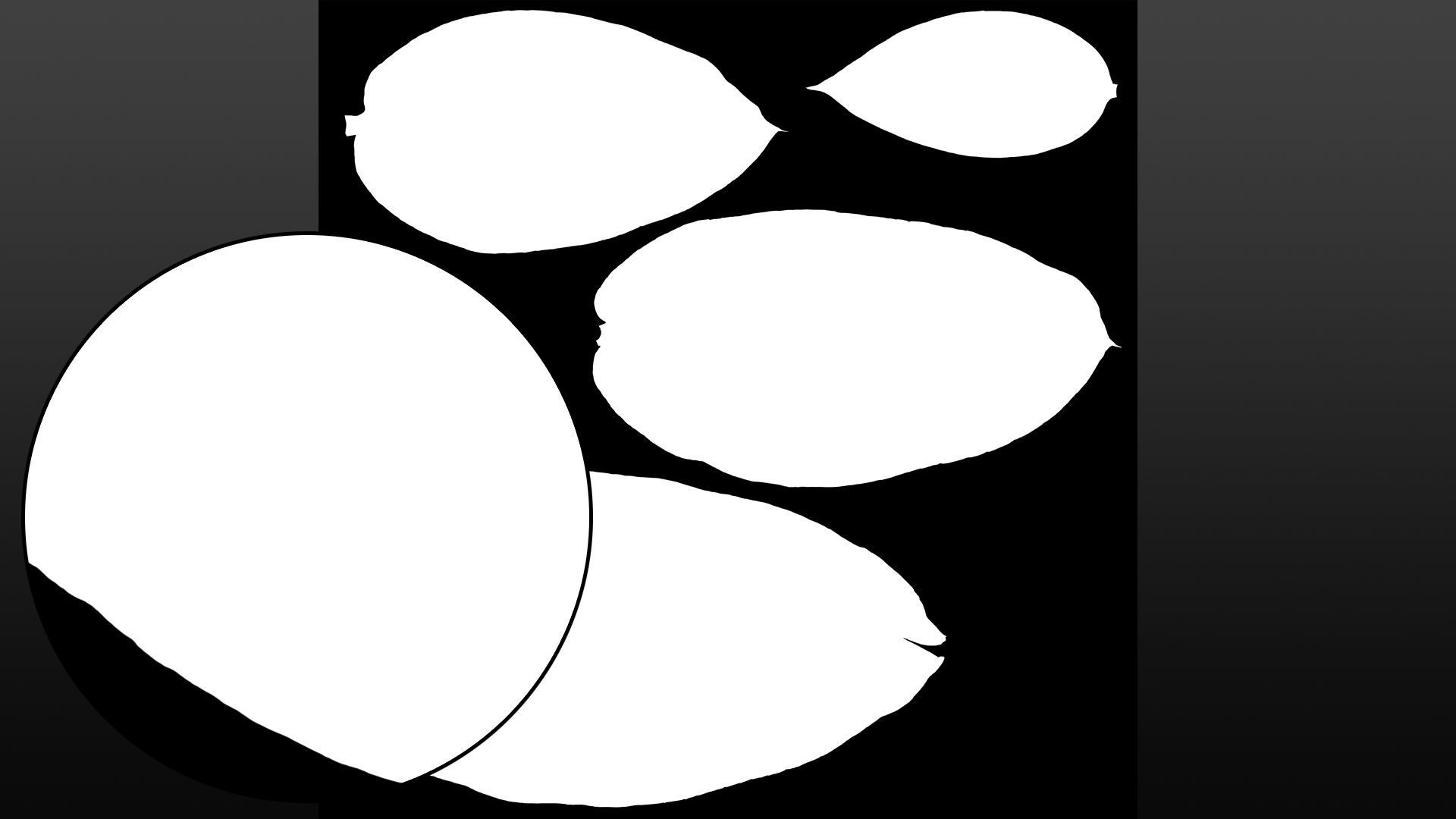 Banana leaf texture Texture_22