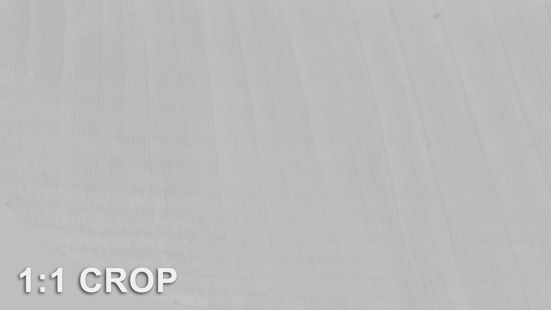 Banana leaf texture Texture_44