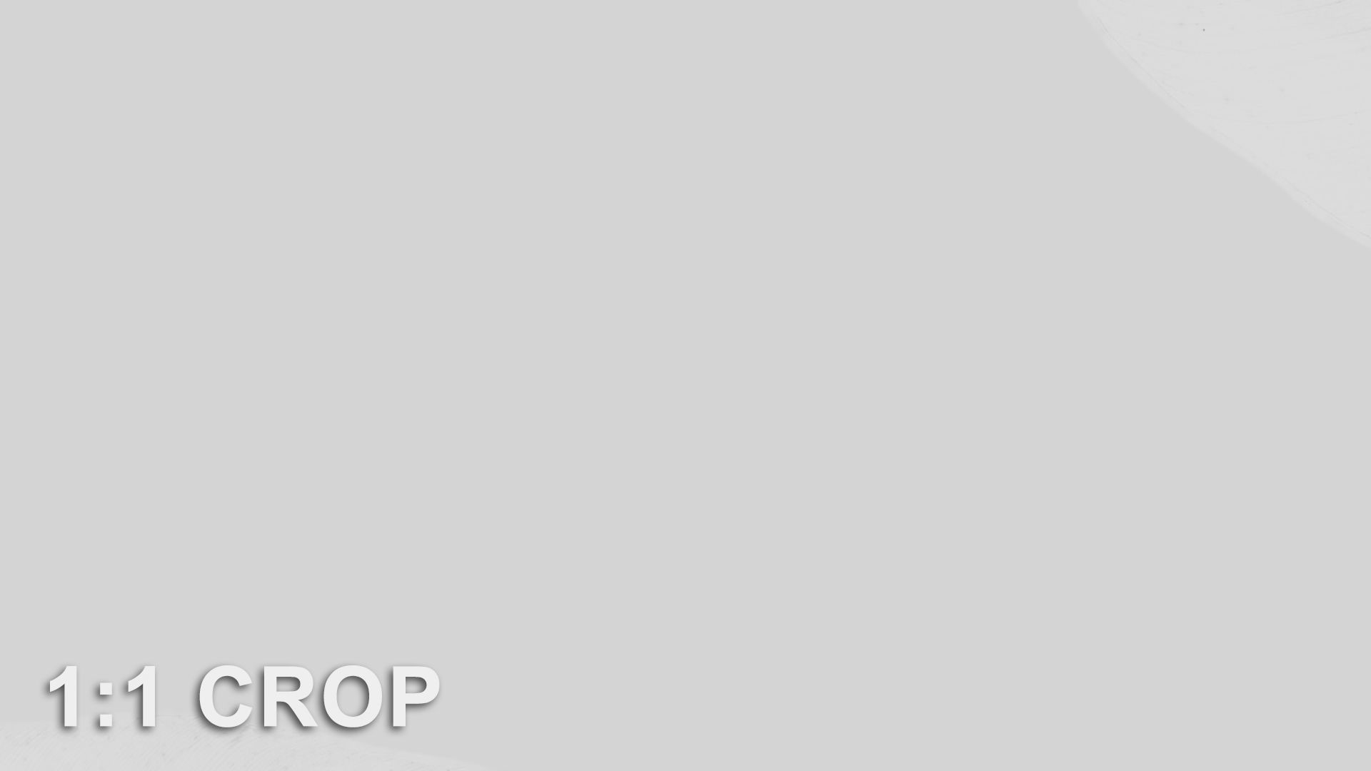 Banana leaf texture Texture_33