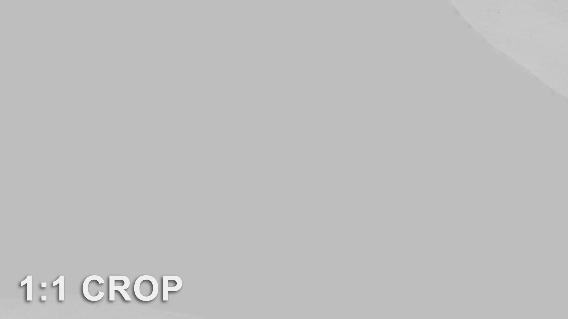 Banana leaf texture Texture_35