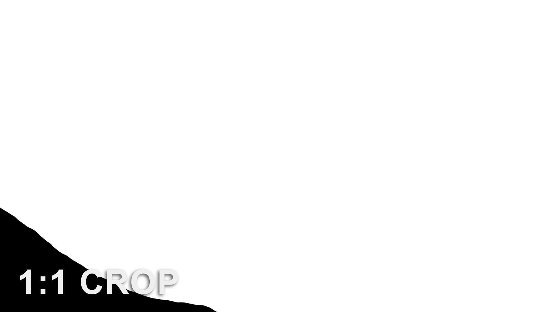 Banana leaf texture Texture_40