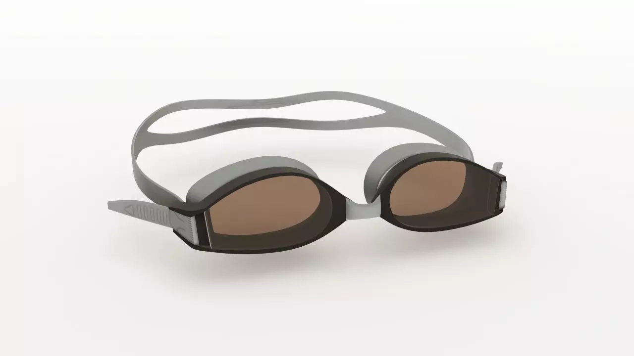lunettes de bain Free 3D model