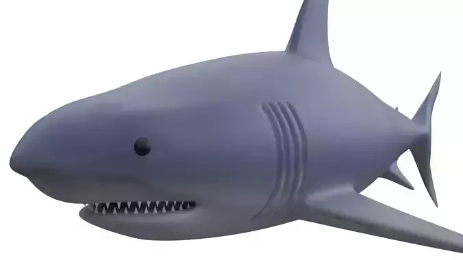 Shark