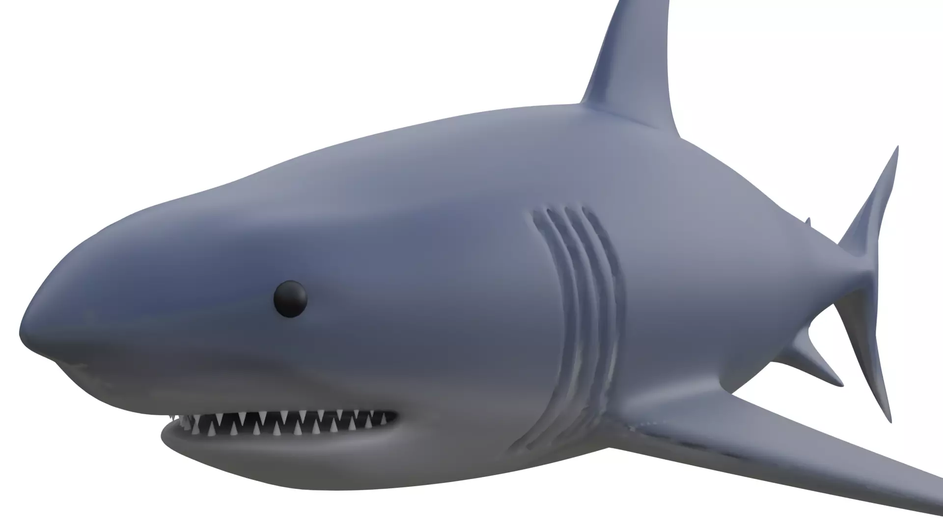 Shark 3D model_0