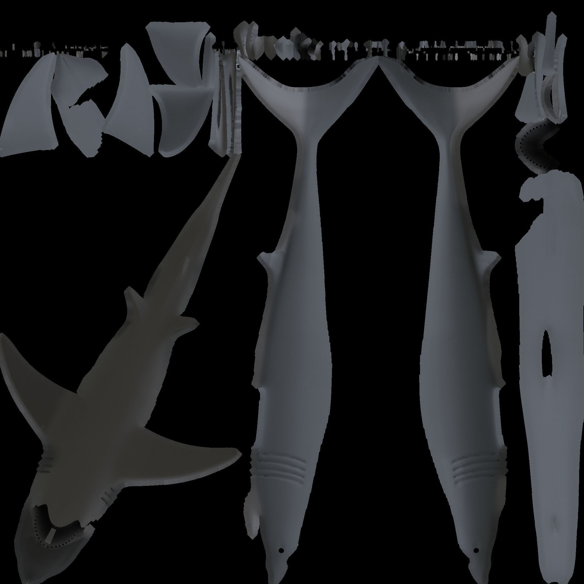 Shark 3D model_7