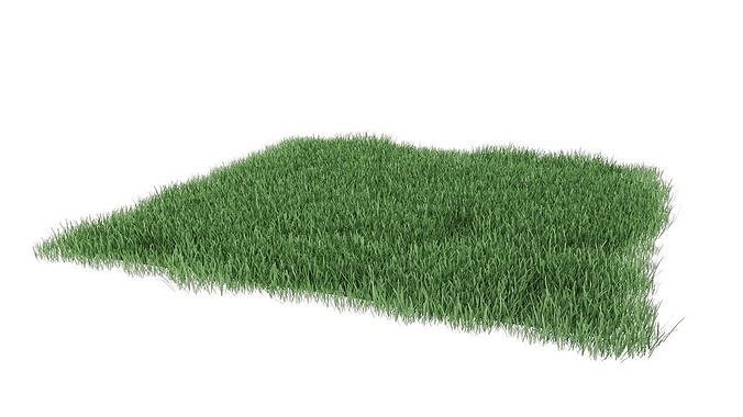 Realistic lawn grass for your projects 3D model 2