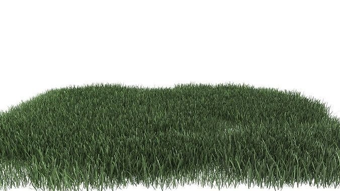 Realistic lawn grass for your projects 3D model 5