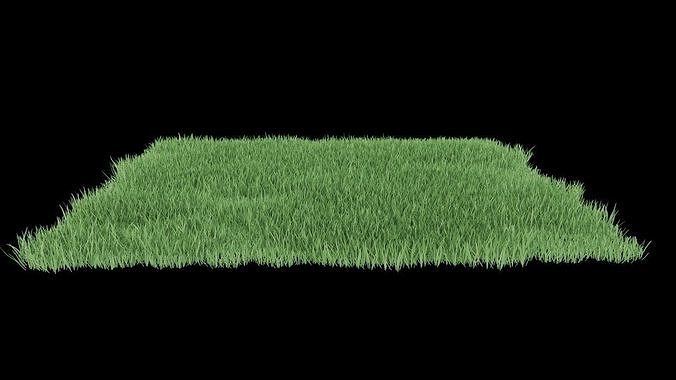 Realistic lawn grass for your projects 3D model 6