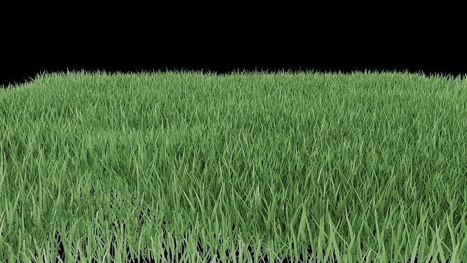 Realistic lawn grass for your projects 3D model 4