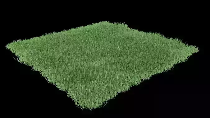 Realistic lawn grass for your projects