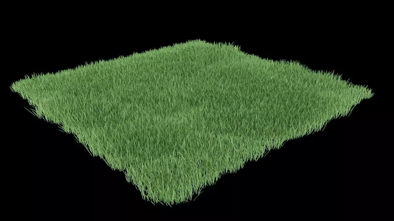 Realistic lawn grass for your projects 3D model