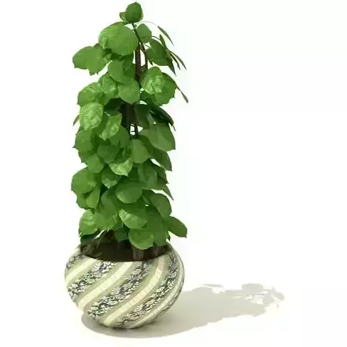 Leaf Plant With Ceramic Pot