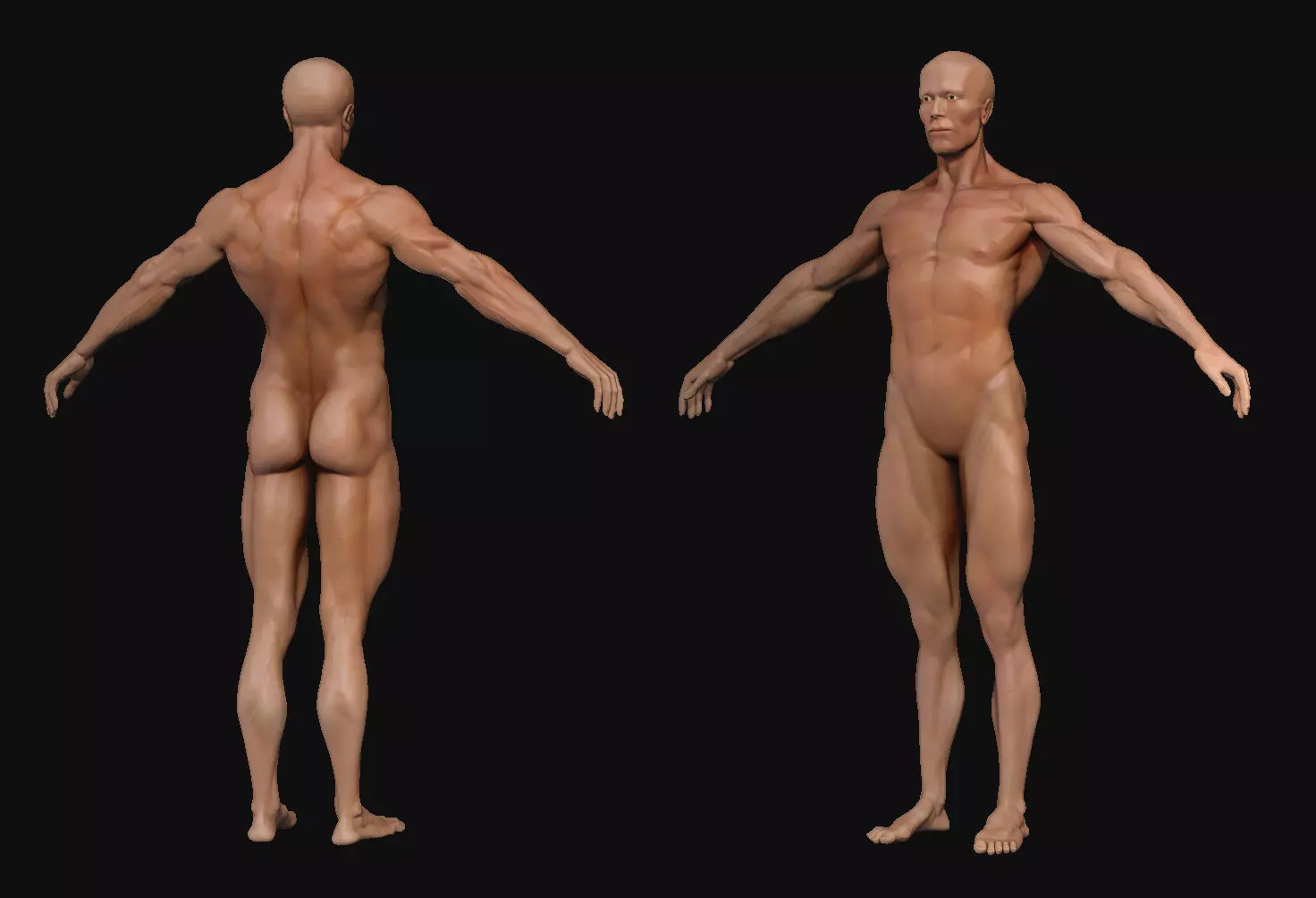Human Body-base mesh 3D model_0