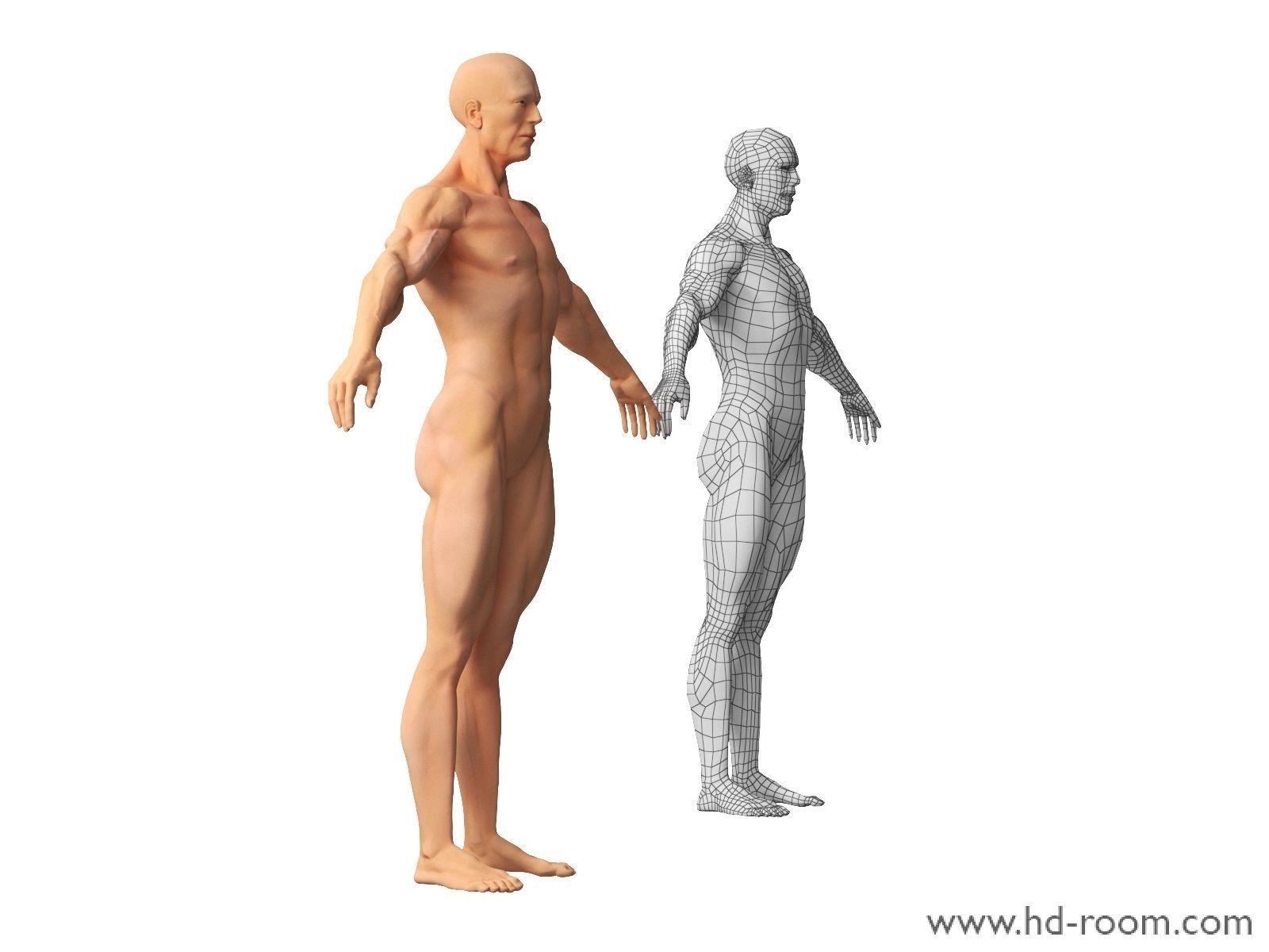 Human Body-base mesh 3D model_6