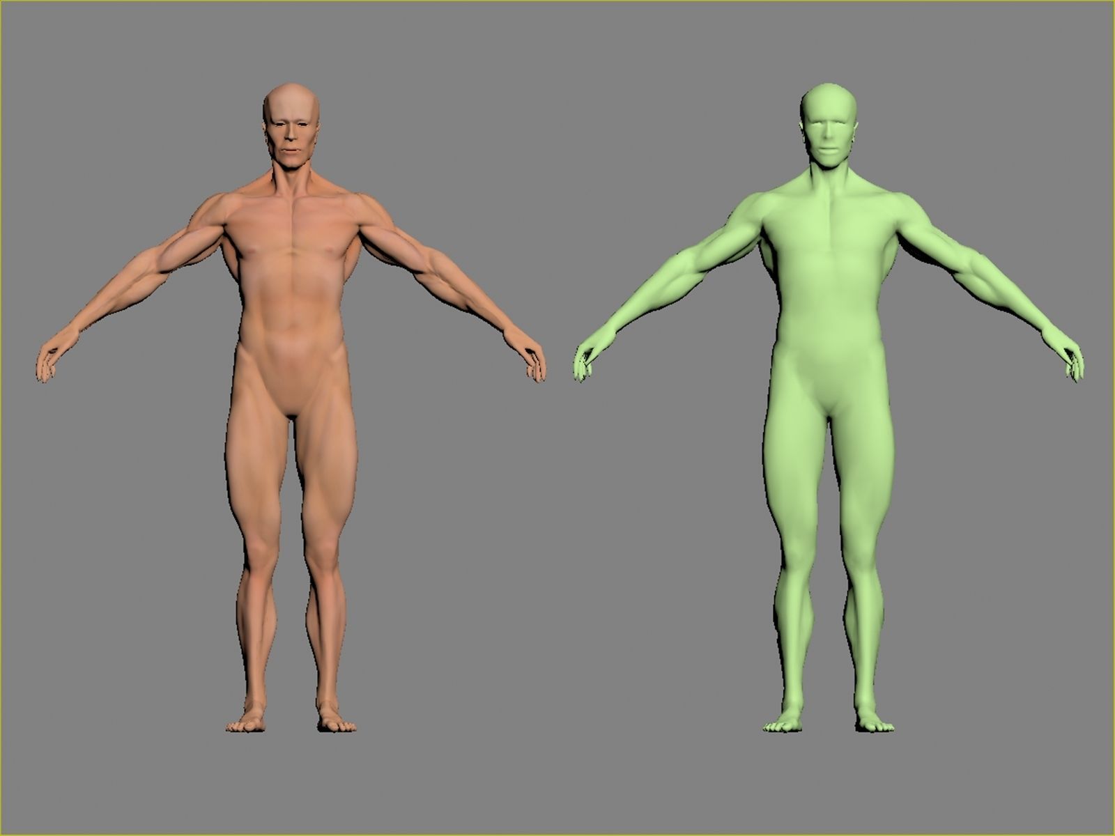 Human Body-base mesh 3D model_13