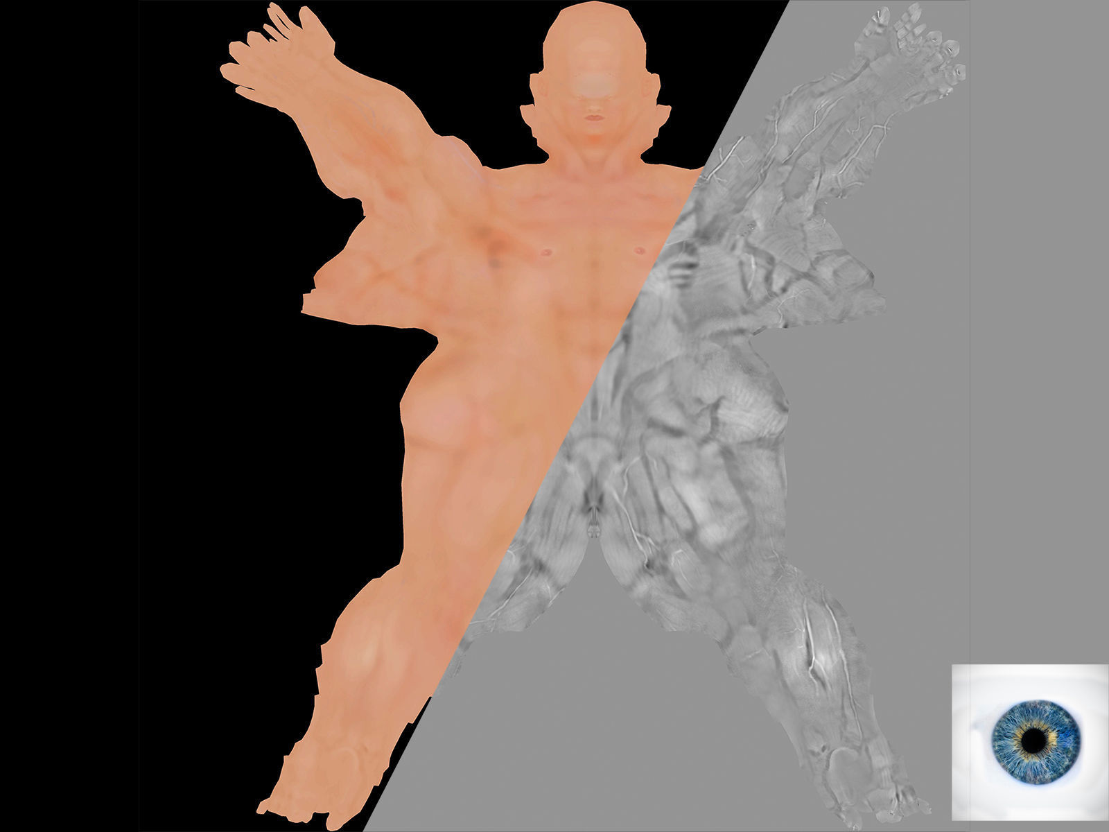 Human Body-base mesh 3D model_15