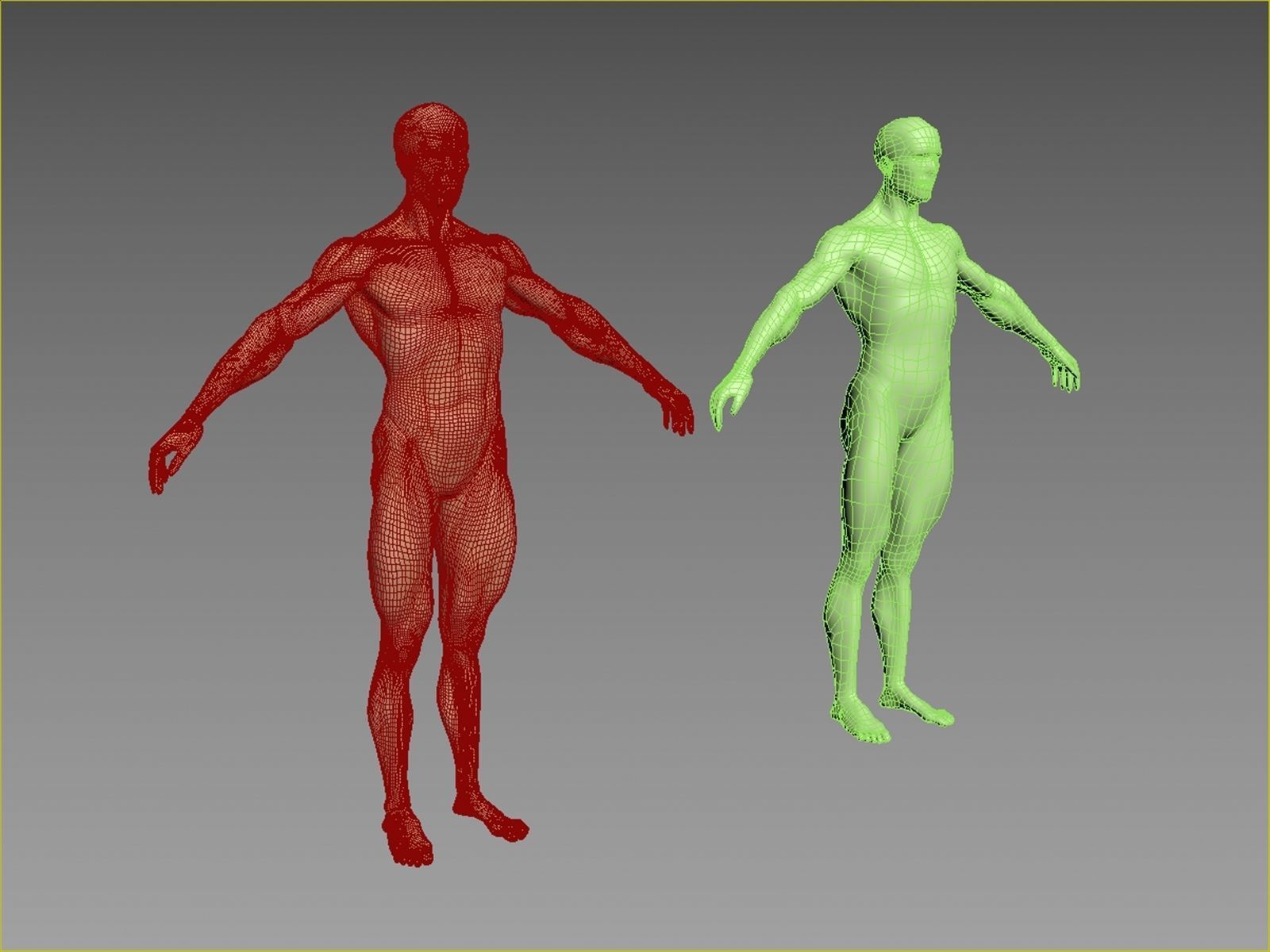 Human Body-base mesh 3D model_14