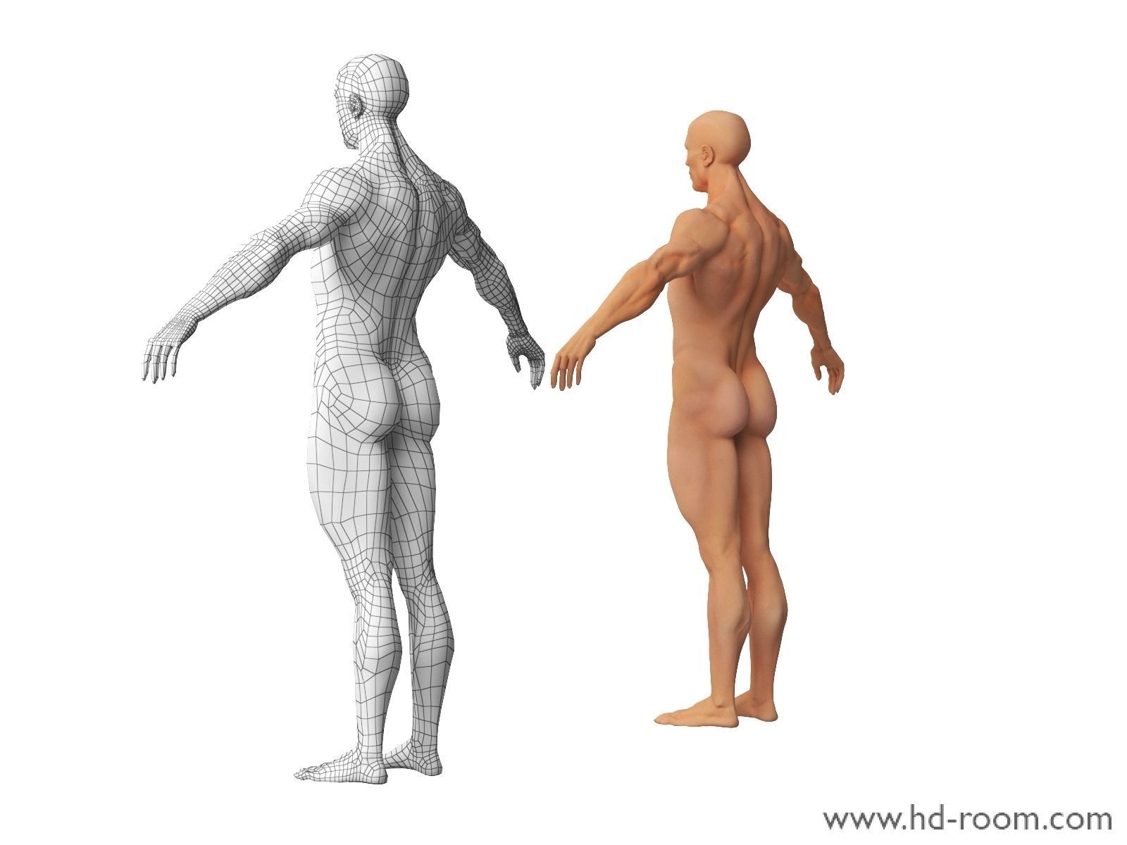 Human Body-base mesh 3D model_7