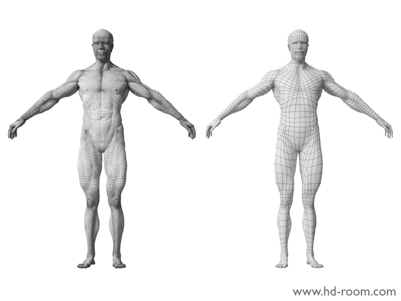 Human Body-base mesh 3D model_12