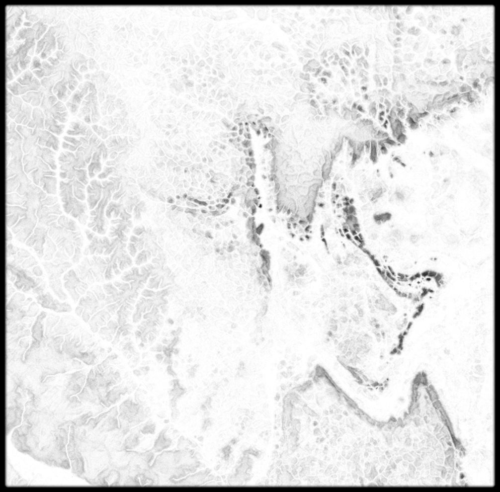 Central African Republic High resolution 24k cavity map Texture_1