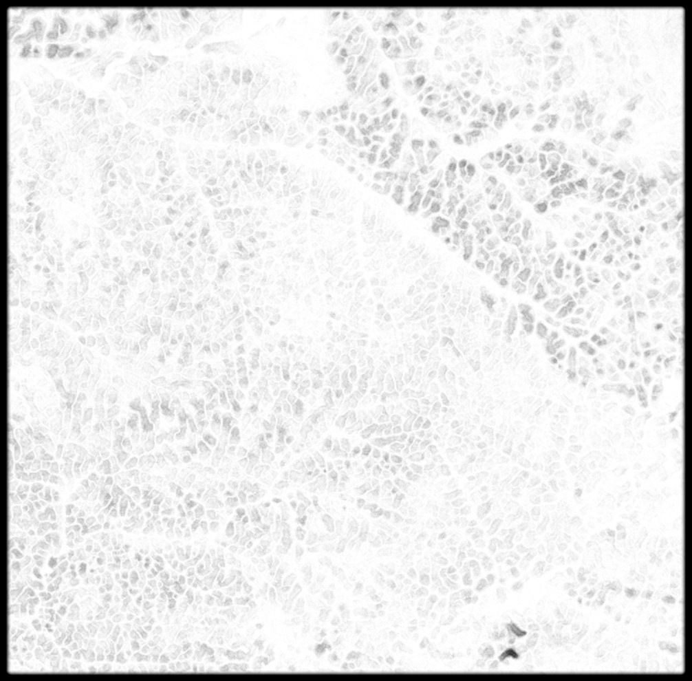 Central African Republic High resolution 24k cavity map Texture_2