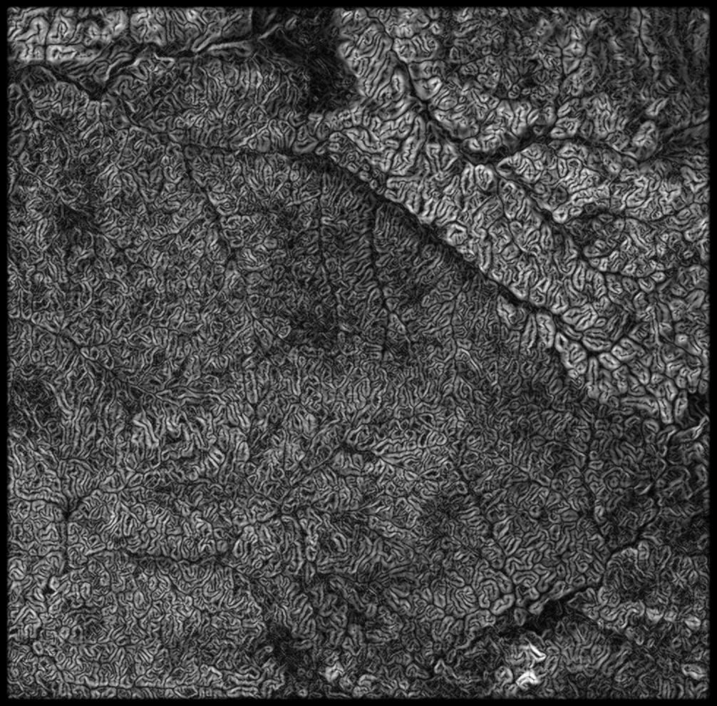 Central African Republic High resolution 24k direct map Texture_2