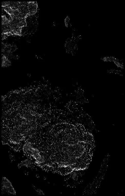 Denmark High resolution 7k thickness map Texture_0