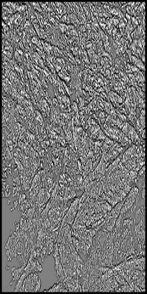 Sweden High resolution 26k curvature map Texture_1