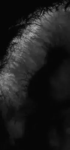 Sweden High resolution 26k displacement height and 3D geometry