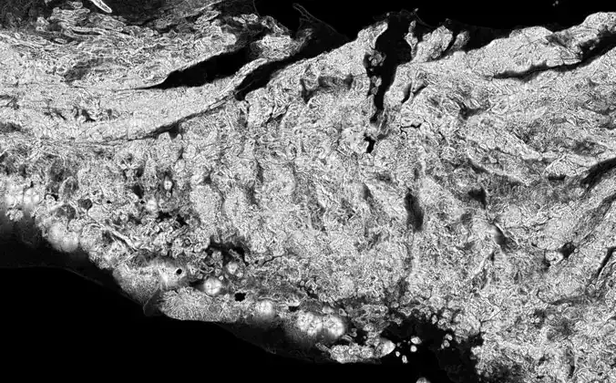 El Salvador High resolution 4k direct map