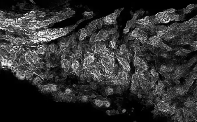 El Salvador High resolution 4k thickness map