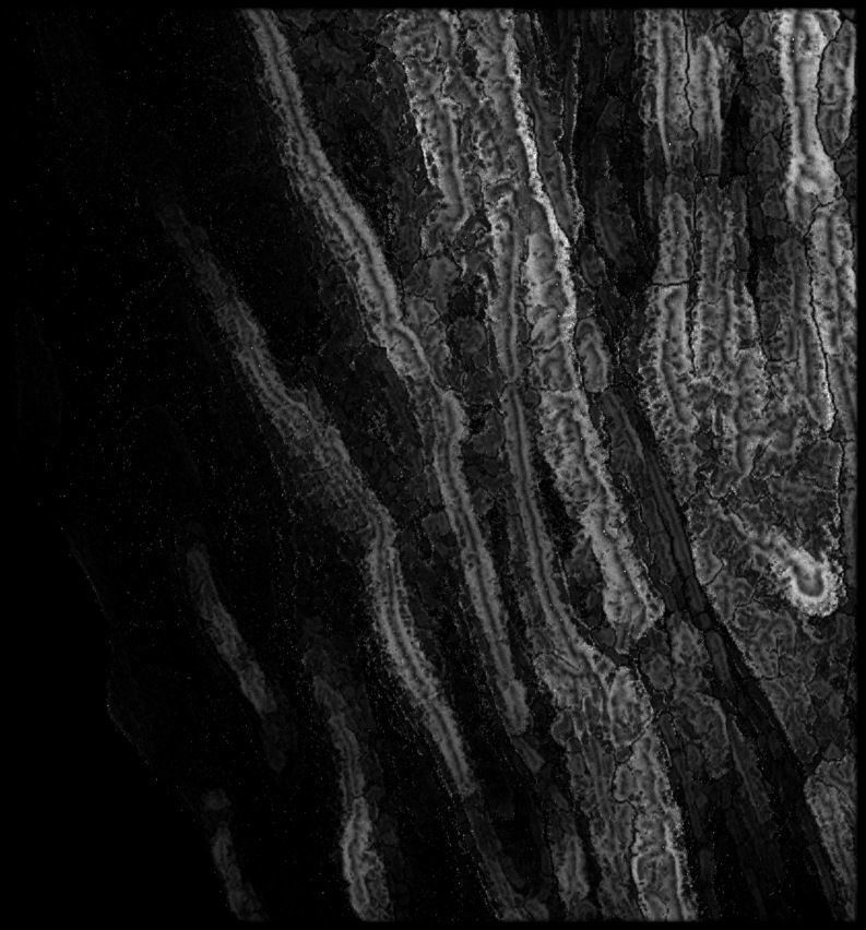 Bangladesh High resolution 11k thickness map Texture_2