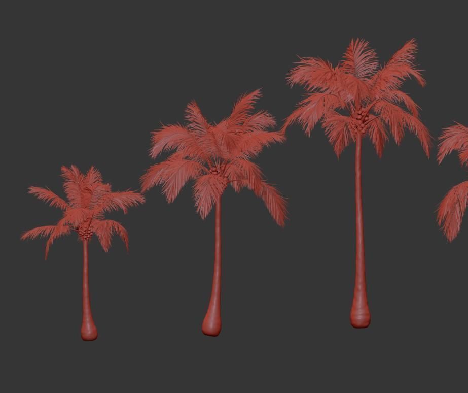 Palm trees Vol 1 3D model_15