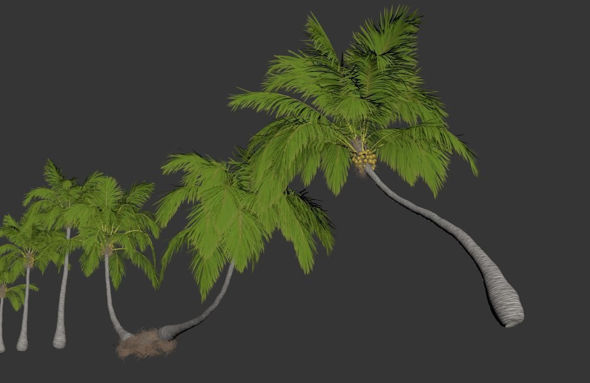 Palm trees Vol 1 3D model_12