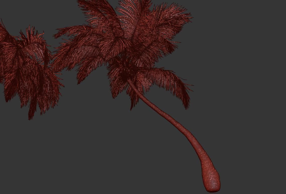 Palm trees Vol 1 3D model_22