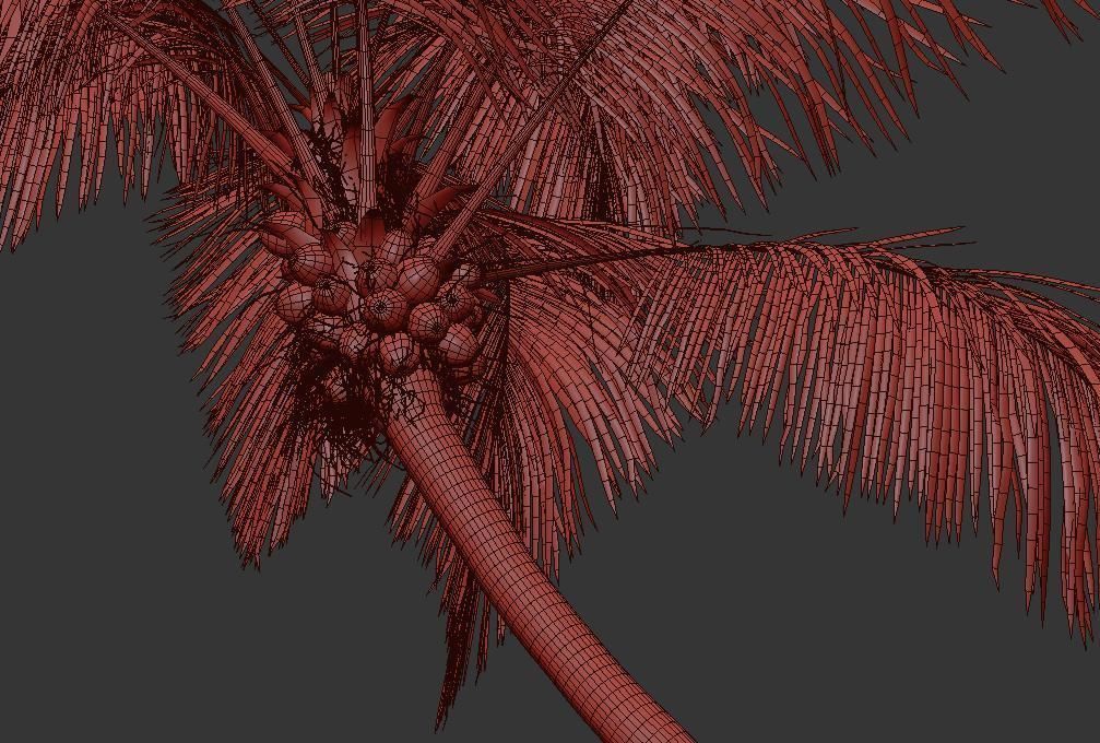 Palm trees Vol 1 3D model_23