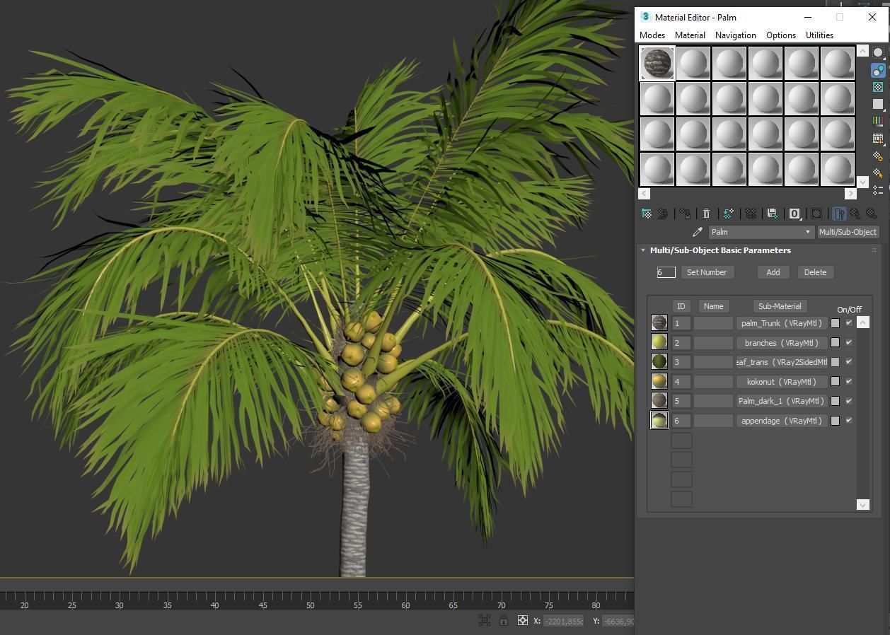 Palm trees Vol 1 3D model_25