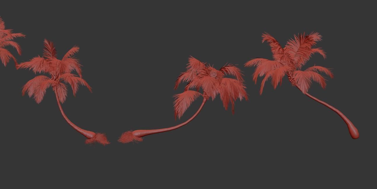 Palm trees Vol 1 3D model_16