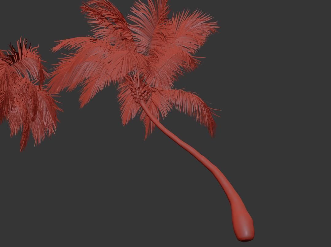 Palm trees Vol 1 3D model_18