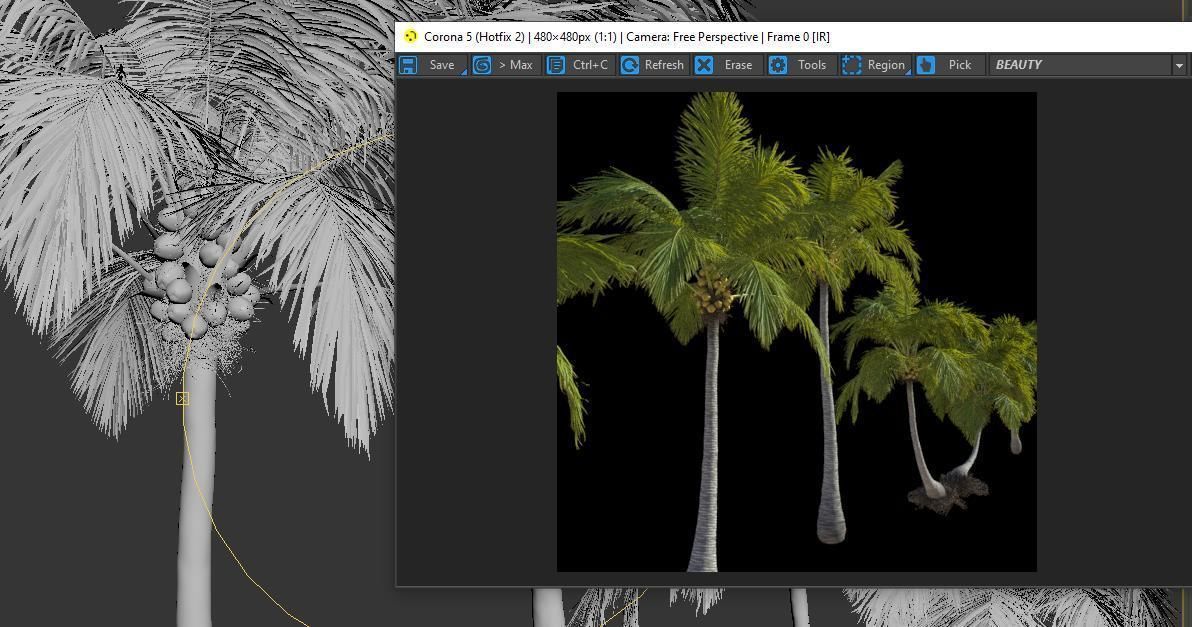 Palm trees Vol 1 3D model_9